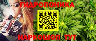 скорость Рязань