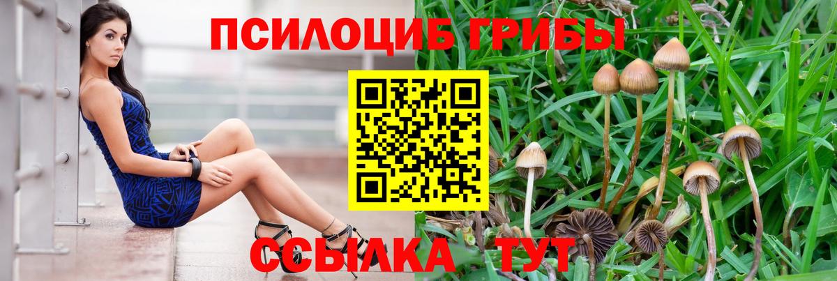 Псилоцибиновые грибы Psilocybine cubensis Рузаевка